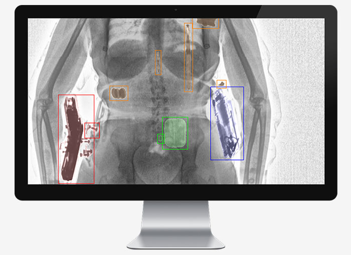 Xray Scan - Frighten Wife KW, PDF