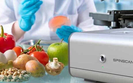 EPR (ESR) in food chemistry