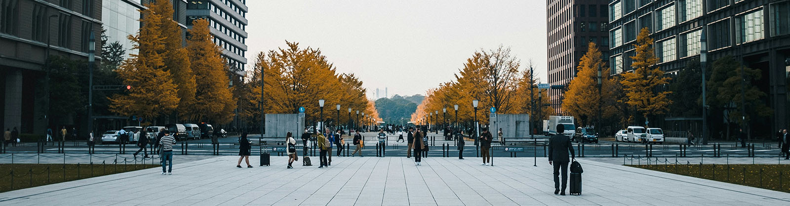 Commercial security and threat detection: preventing firearm and explosive risks in business facilities