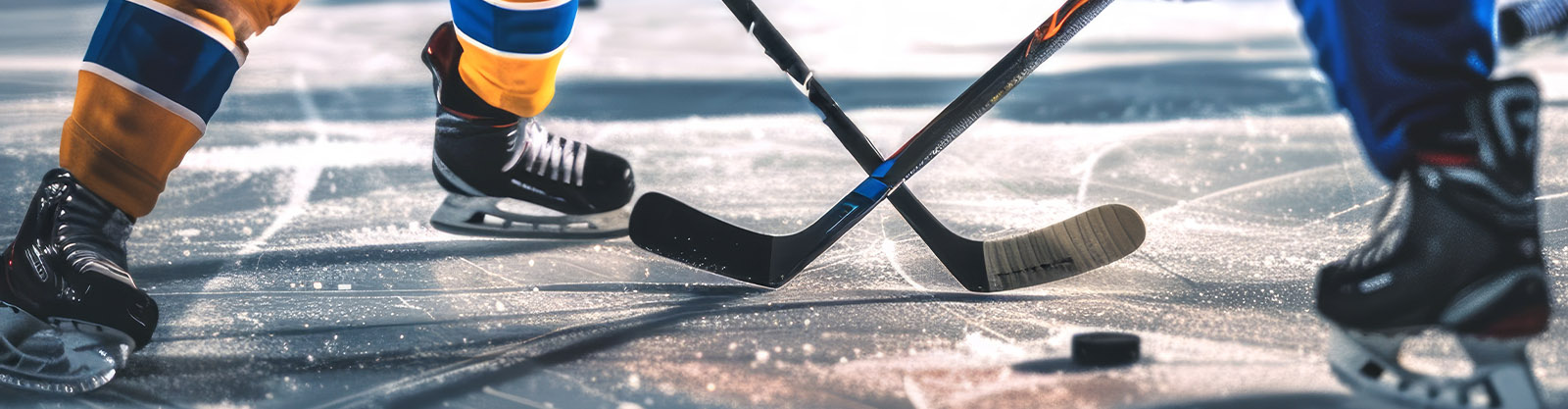 Secure Every Hockey Game: Smarter Arena Security Starts at the Entrance