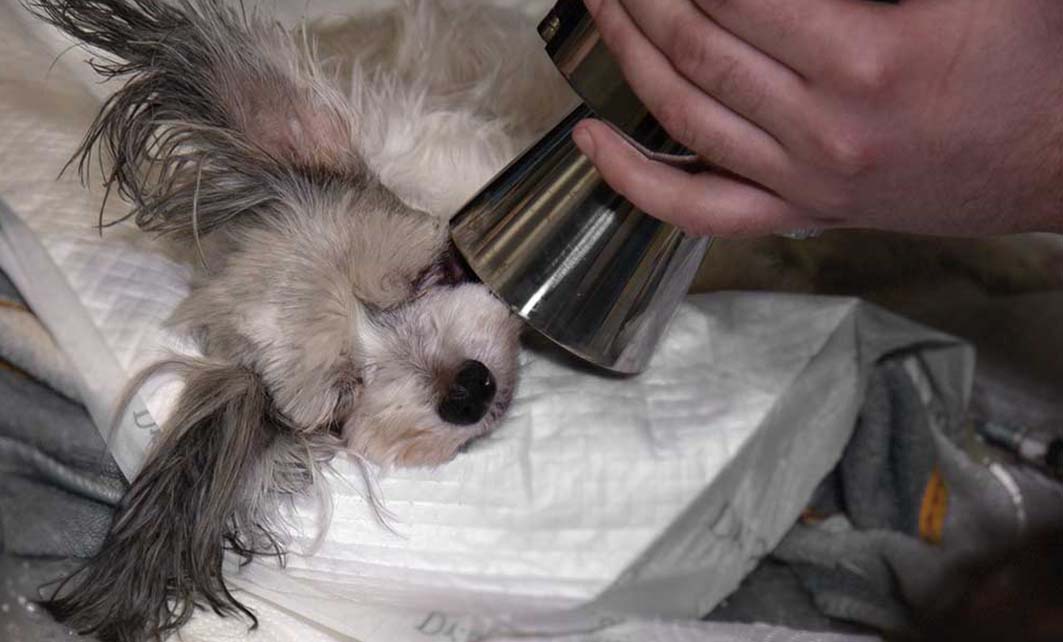 VETOROX Radiation Therapy Technology