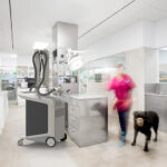 LINEV Systems VETOROX100