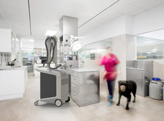 LINEV Systems VETOROX100