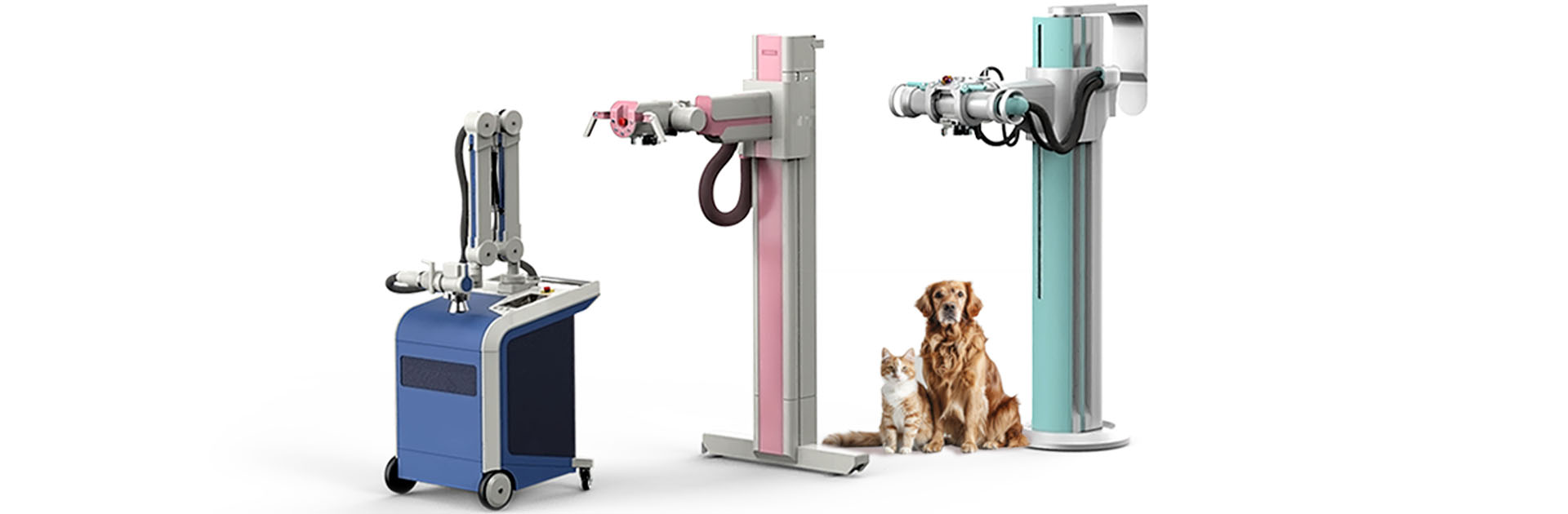 Veterinary Radiotherapy